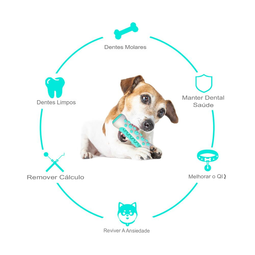 Brinquedo de Escova de Dentes Molares para Cães